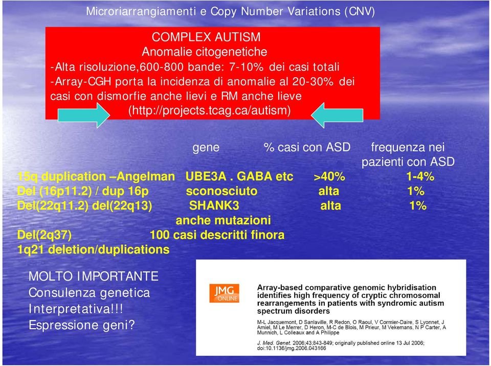 ca/autism) gene % casi con ASD frequenza nei pazienti con ASD 15q duplication Angelman UBE3A. GABA etc >40% 1-4% Del (16p11.