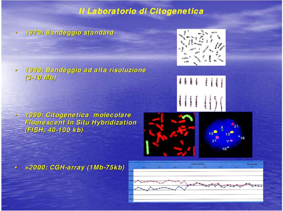 1990: 90: Citogenetica molecolare Fluorescent In Situ