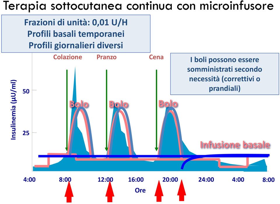 Colazione Pranzo Cena Bolo Bolo Bolo I boli possono essere somministrati secondo