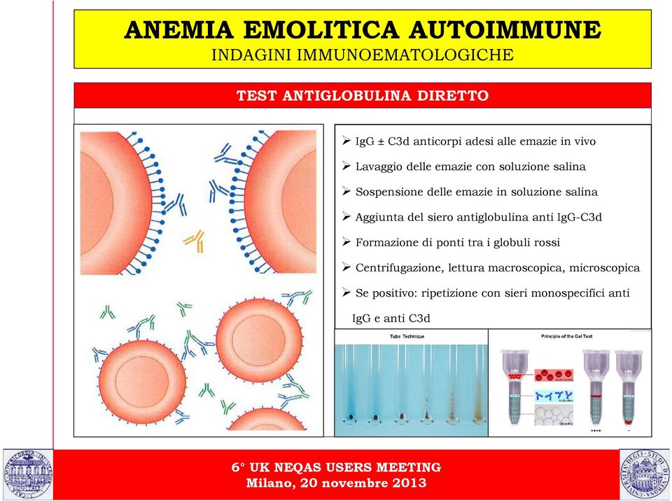 siero antiglobulina anti IgG-C3d Formazione di ponti tra i globuli rossi ti Igg + C3d