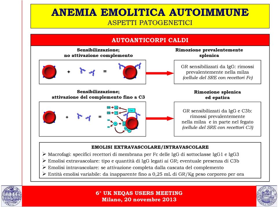 (cellule del SRE con recettori C3) EMOLISI EXTRAVASCOLARE/INTRAVASCOLARE Macrofagi: specifici recettori di membrana per Fc delle IgG di sottoclasse IgG1 e IgG3 Emolisi extravascolare: tipo e quantità