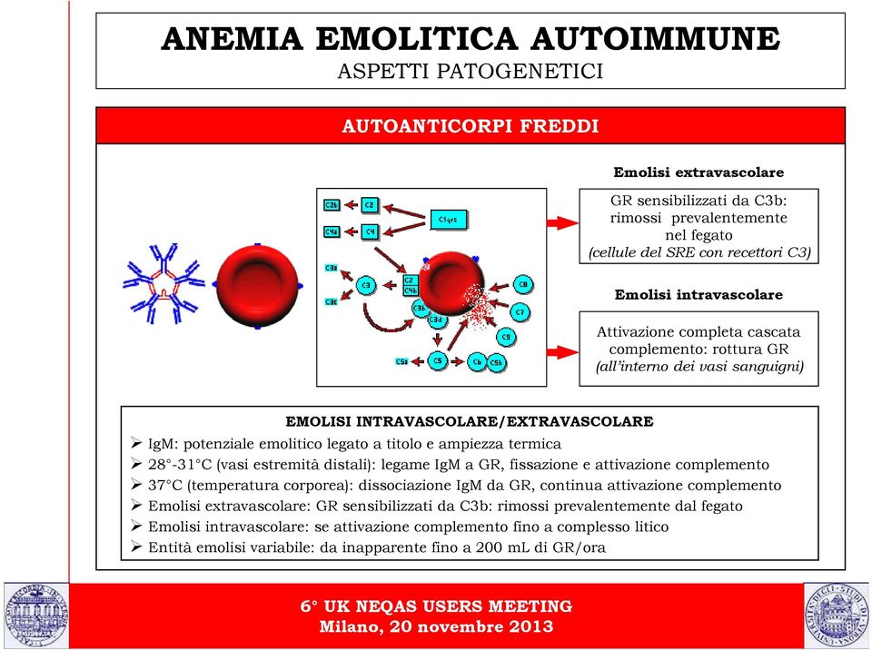 C (vasi estremità distali): legame IgM a GR, fissazione e attivazione complemento 37 C (temperatura corporea): dissociazione IgM da GR, continua attivazione complemento Emolisi