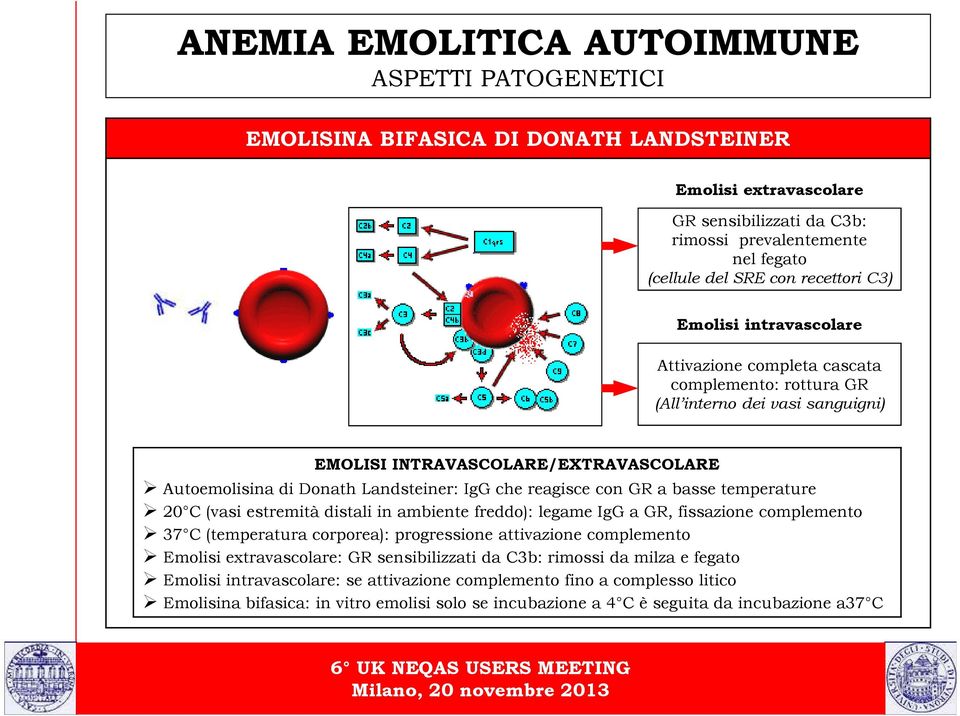 a basse temperature 20 C (vasi estremità distali in ambiente freddo): legame IgG a GR, fissazione complemento 37 C (temperatura corporea): progressione attivazione complemento Emolisi extravascolare: