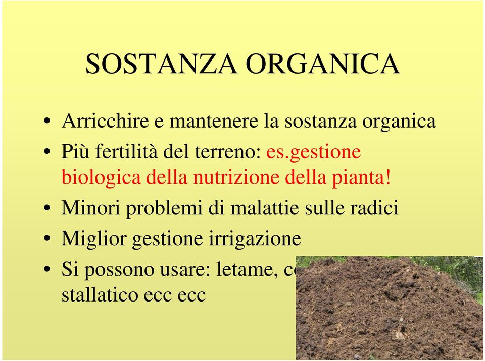 gestione biologica della nutrizione della pianta!