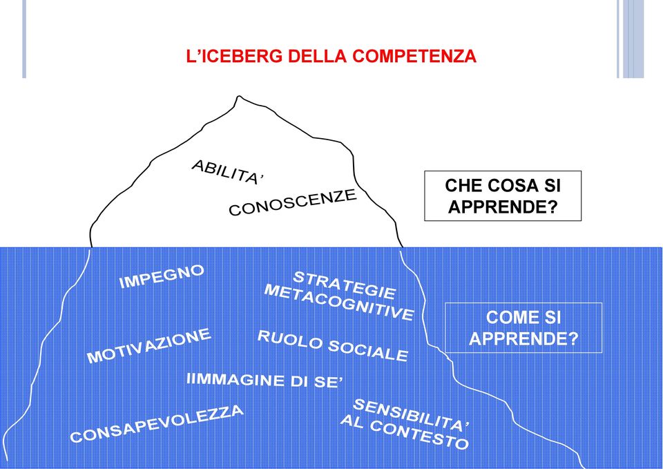 IMPEGNO MOTIVAZIONE STRATEGIE METACOGNITIVE RUOLO