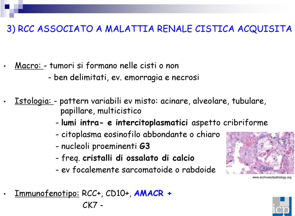 intra- e intercitoplasmatici aspetto cribriforme - citoplasma eosinofilo abbondante o chiaro - nucleoli proeminenti G3 - freq.