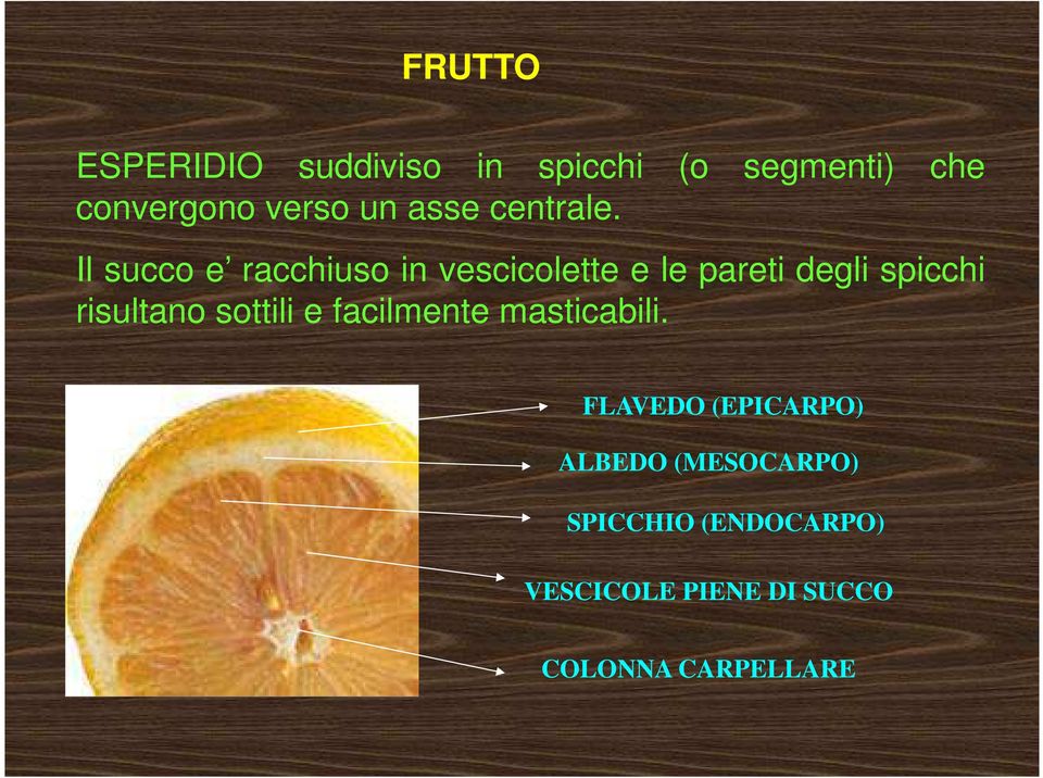 Il succo e racchiuso in vescicolette e le pareti degli spicchi risultano