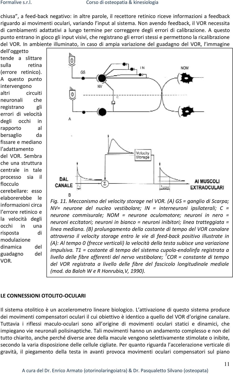 A questo punto entrano in gioco gli input visivi, che registrano gli errori stessi e permettono la ricalibrazione del VOR.