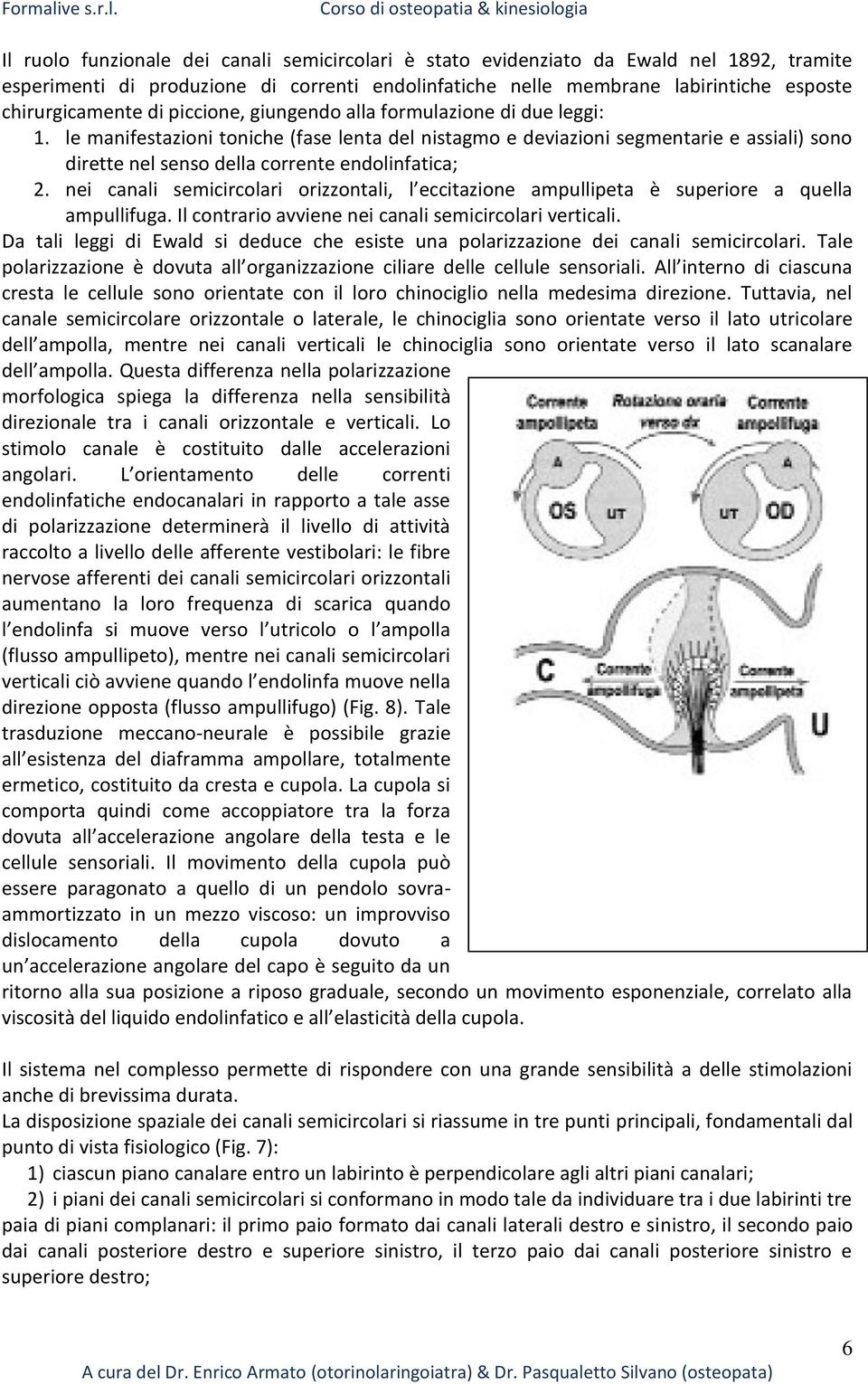 nei canali semicircolari orizzontali, l eccitazione ampullipeta è superiore a quella ampullifuga. Il contrario avviene nei canali semicircolari verticali.