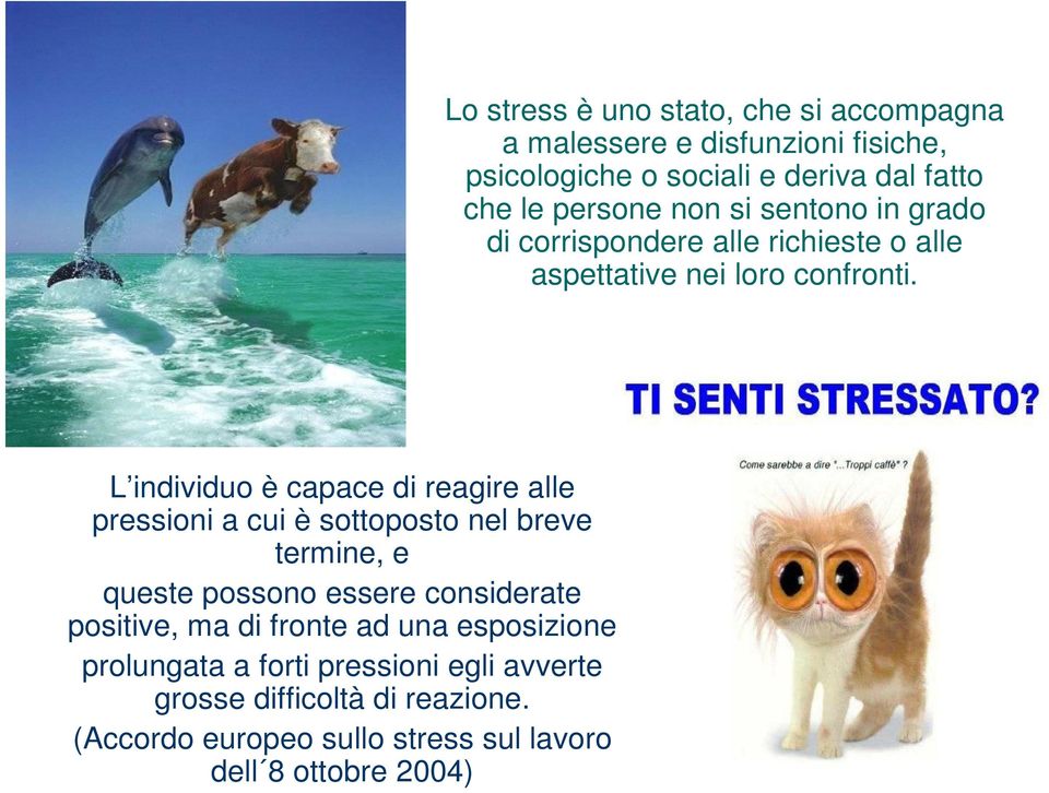 (Accordo europeo sullo stress sul lavoro dell 8 ottobre 2004) Lo stress è uno stato, che si accompagna a malessere e disfunzioni