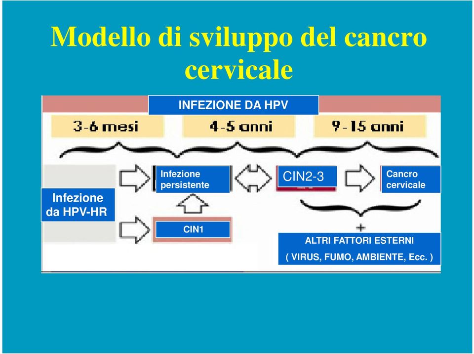 persistente CIN2-3 Cancro persistente cervicale