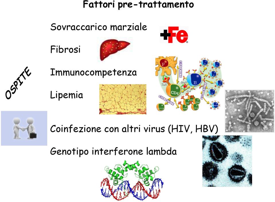 Immunocompetenza Lipemia Coinfezione