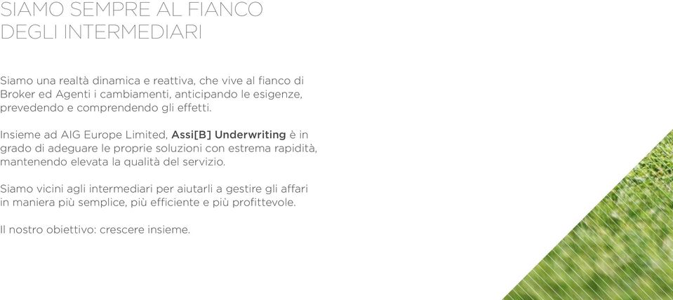 Insieme ad AIG Europe Limited, Assi[B] Underwriting è in grado di adeguare le proprie soluzioni con estrema rapidità, mantenendo