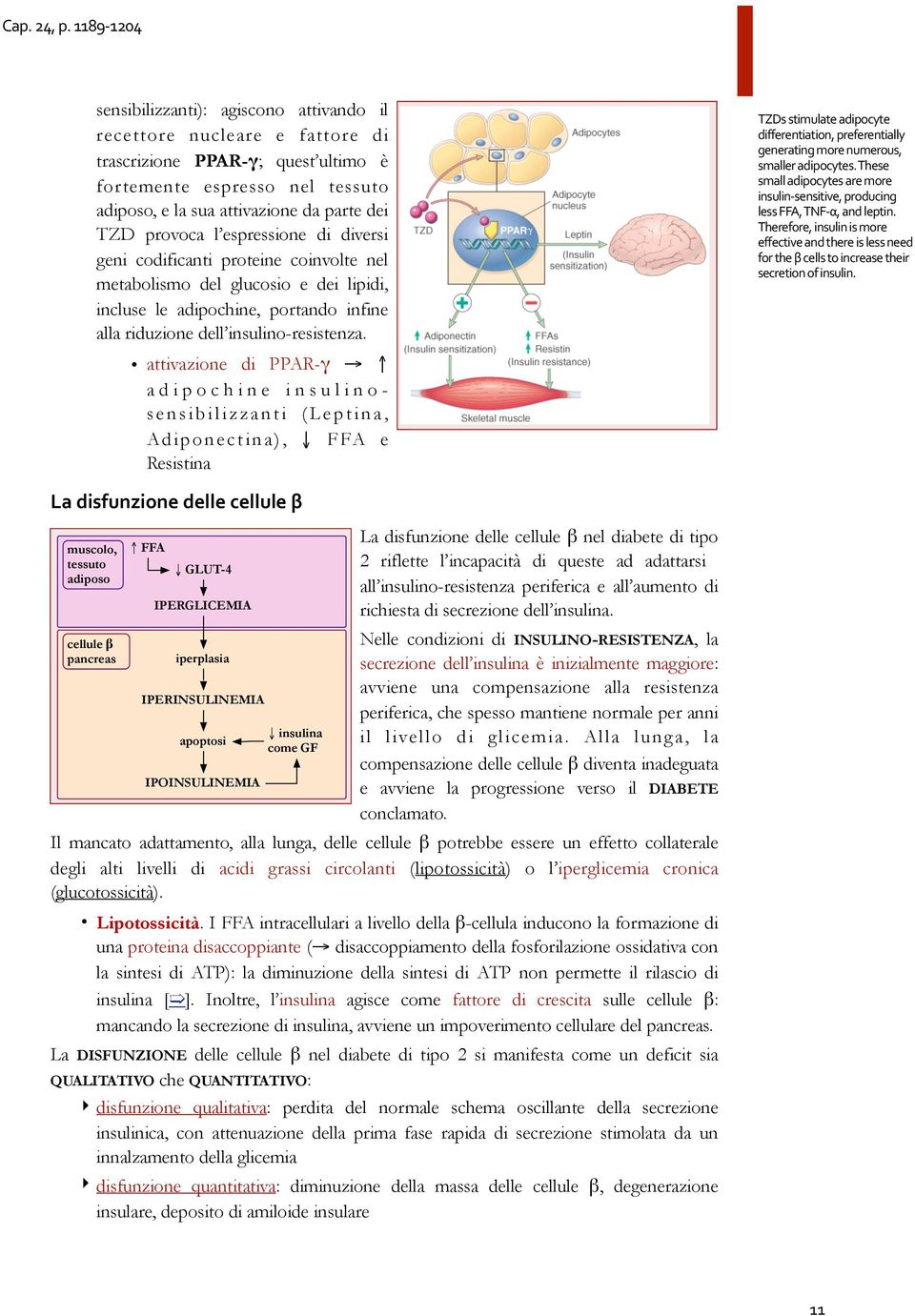 insulino-resistenza. =P/(#(?-*),@?8#@6-4&%E?8# 6-DD858'?-@?-&'1#458D858'?-@,,E# +8'85@?-'+#*&58#')*85&)(1# (*@,,85#@6-4&%E?8(Q#=R8(8# (*@,,#@6-4&%E?8(#@58#*&58# -'(),-'3(8'(-?-L81#45&6)%-'+#,8((#SS.