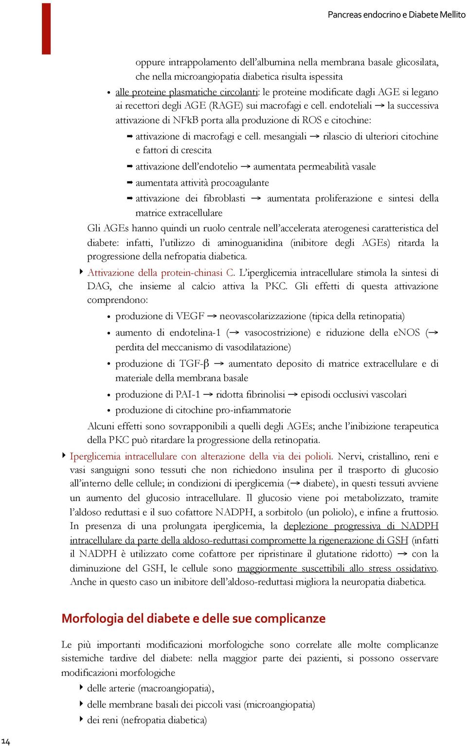 la successiva attivazione di NFkB porta alla produzione di ROS e citochine: " attivazione di macrofagi e cell. mesangiali!