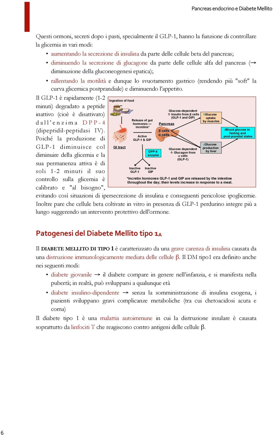 diminuzione della gluconeogenesi epatica); rallentando la motilità e dunque lo svuotamento gastrico (rendendo più "soft" la curva glicemica postprandiale) e diminuendo l'appetito.