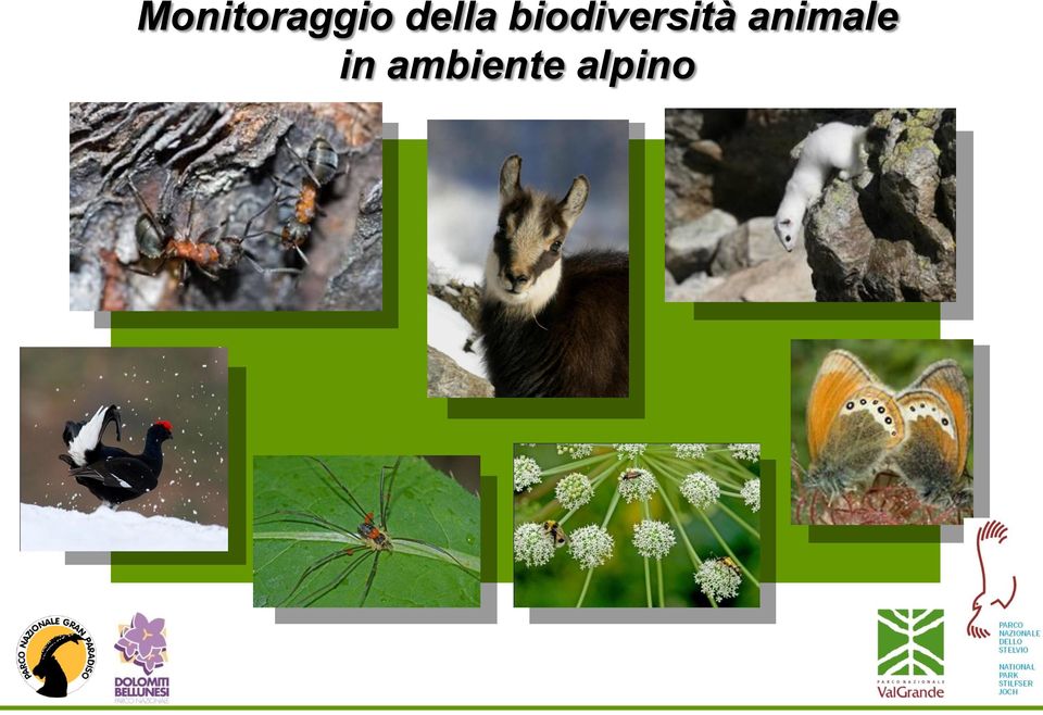 biodiversità