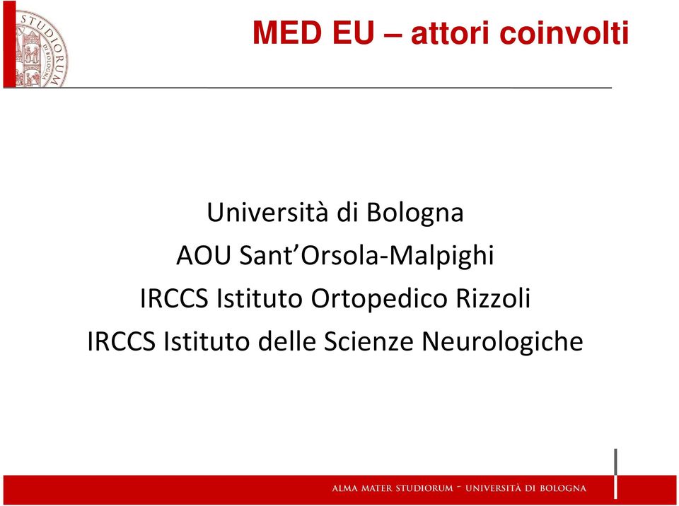 IRCCS Istituto Ortopedico Rizzoli
