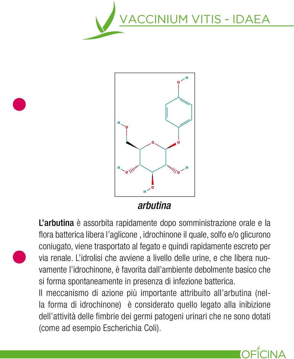 L idrolisi che avviene a livello delle urine, e che libera nuovamente l idrochinone, è favorita dall ambiente debolmente basico che si forma spontaneamente in presenza