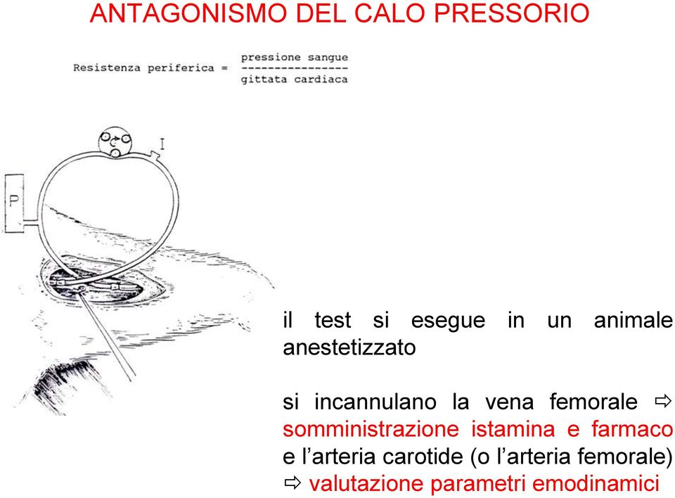 somministrazione istamina e farmaco e l arteria