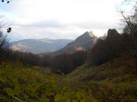 4 Ritorno nel bosco (Distanza dalla partenza 350 metri Distanza dall'arrivo 1.780 metri) Alla fine della radura con le rocce ofiolitiche si rientra nella faggeta (foto in alto).