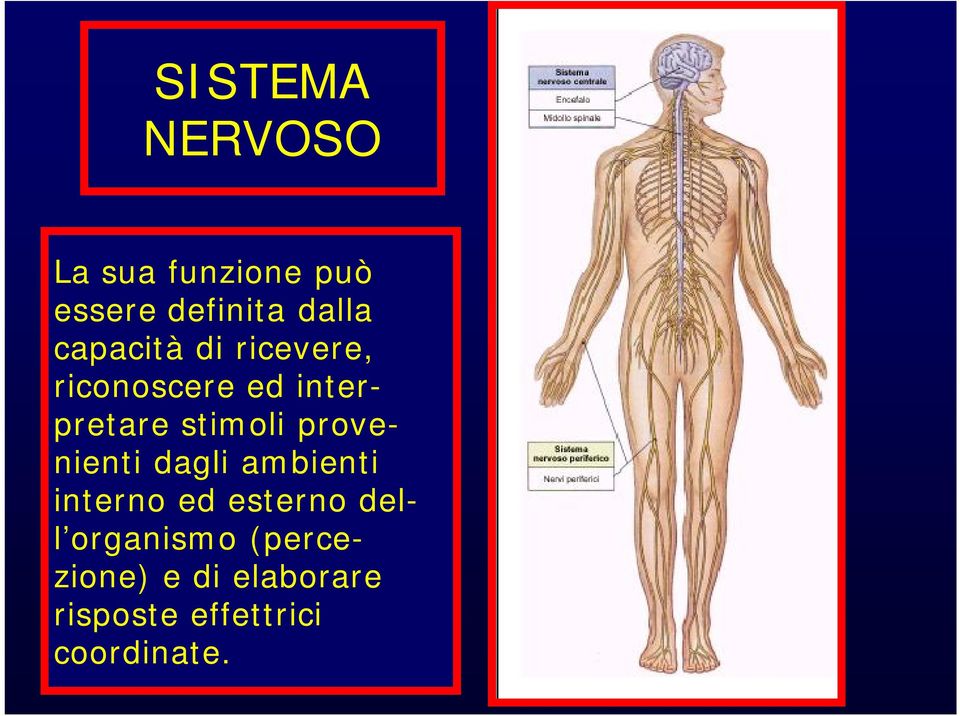 provenienti dagli ambienti interno ed esterno dell