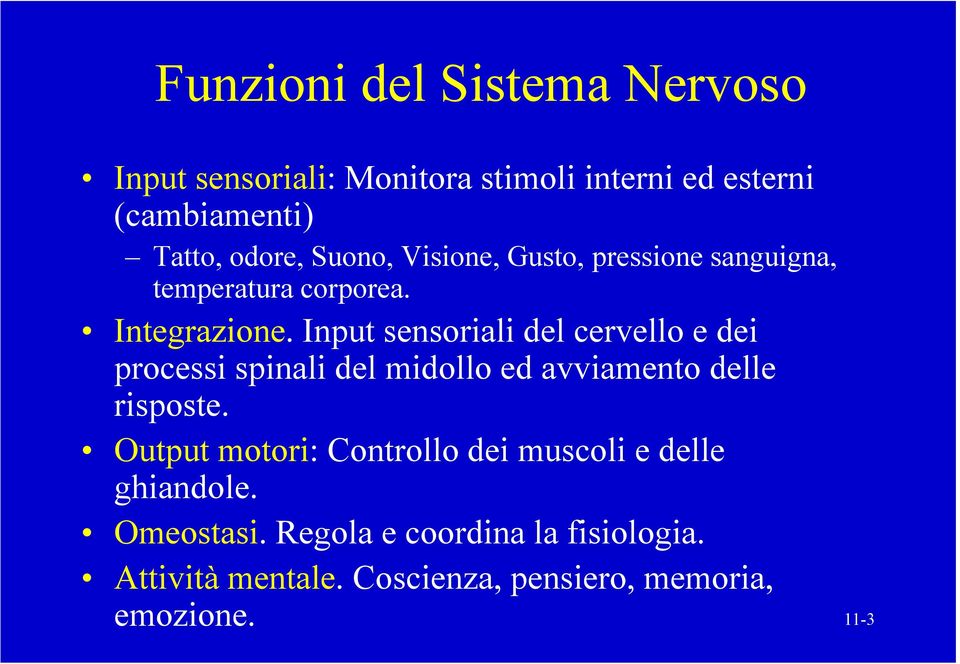 Input sensoriali del cervello e dei processi spinali del midollo ed avviamento delle risposte.