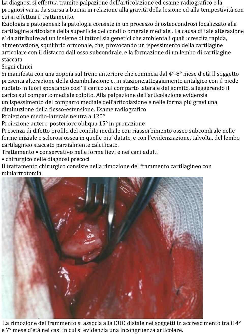 , La causa di tale alterazione e da attribuire ad un insieme di fattori sia genetici che ambientali quali :crescita rapida, alimentazione, squilibrio ormonale, che, provocando un ispessimento della