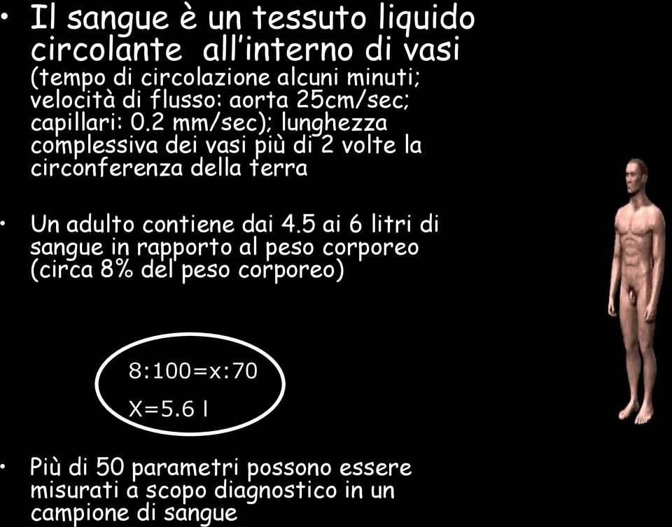 2 mm/sec); lunghezza complessiva dei vasi più di 2 volte la circonferenza della terra Un adulto contiene dai 4.