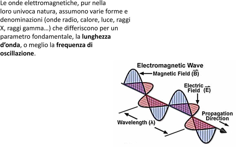 luce, raggi X, raggi gamma ) che differiscono per un parametro