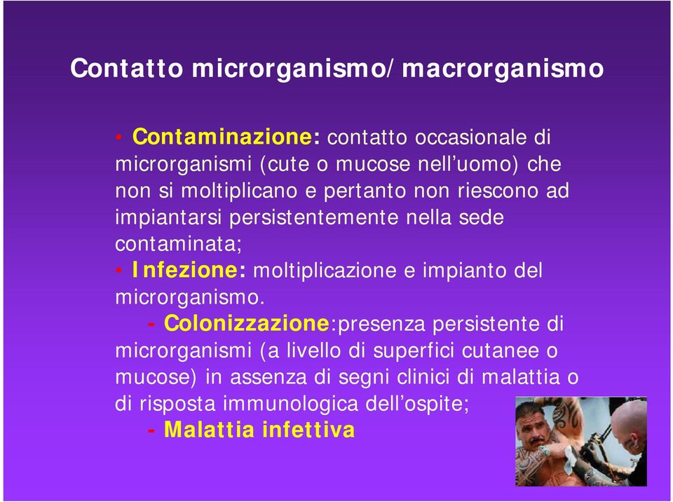 moltiplicazione e impianto del microrganismo.