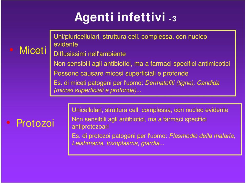 micosi superficiali e profonde Es. di miceti patogeni per l'uomo: Dermatofiti (tigne), Candida (micosi superficiali e profonde).