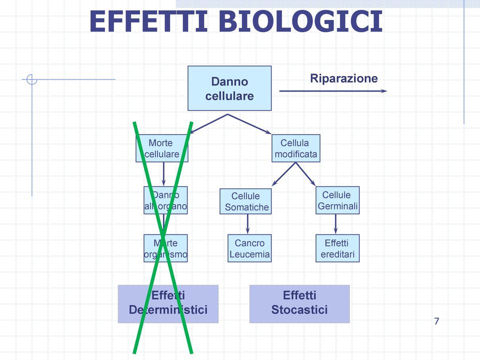 Somatiche Cellule Germinali Morte organismo Cancro