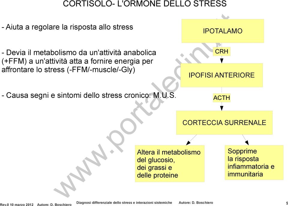 sintomi dello stress cronico: M.U.S.