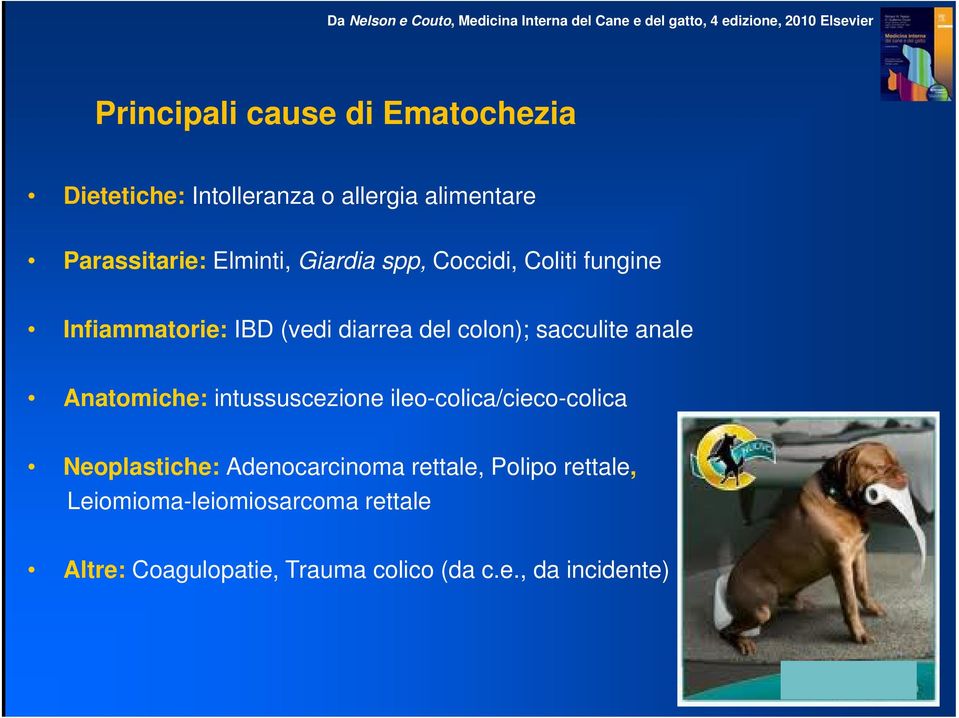 Infiammatorie: IBD (vedi diarrea del colon); sacculite anale Anatomiche: intussuscezione ileo-colica/cieco-colica