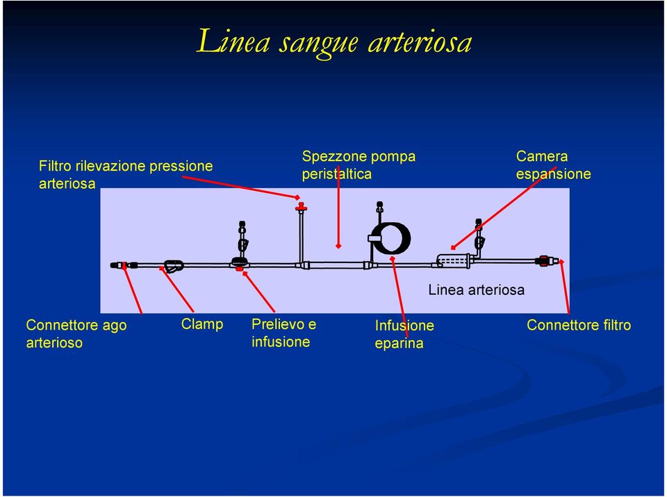 espansione Linea arteriosa Connettore ago arterioso