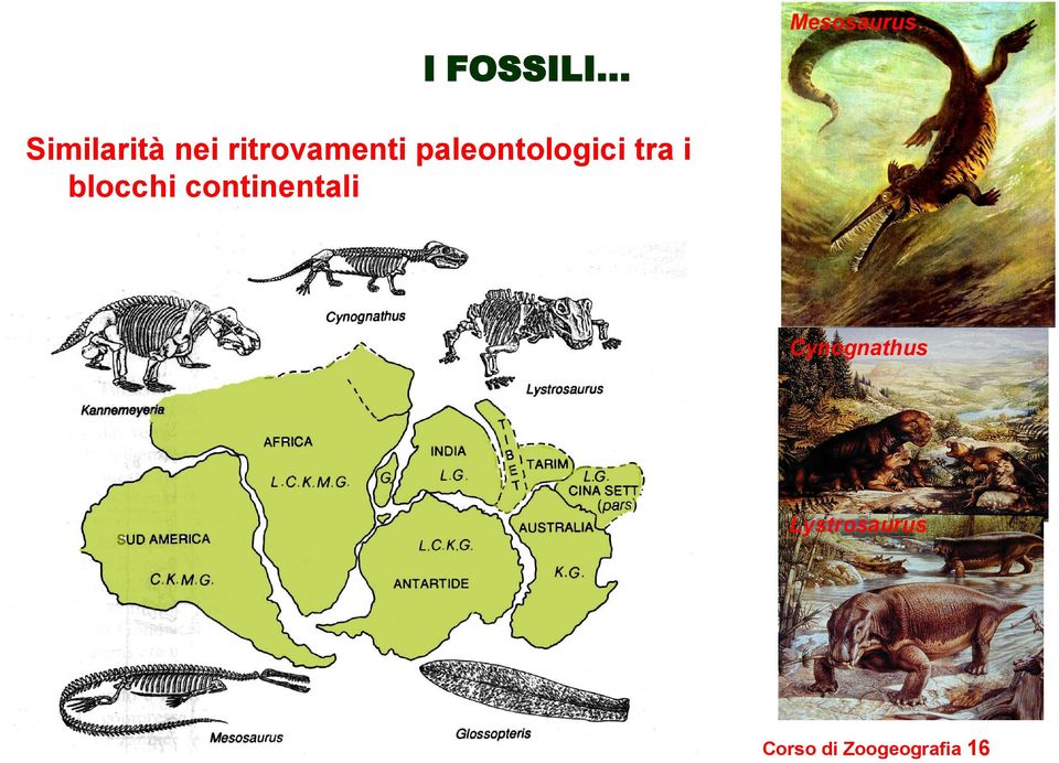 paleontologici tra i blocchi