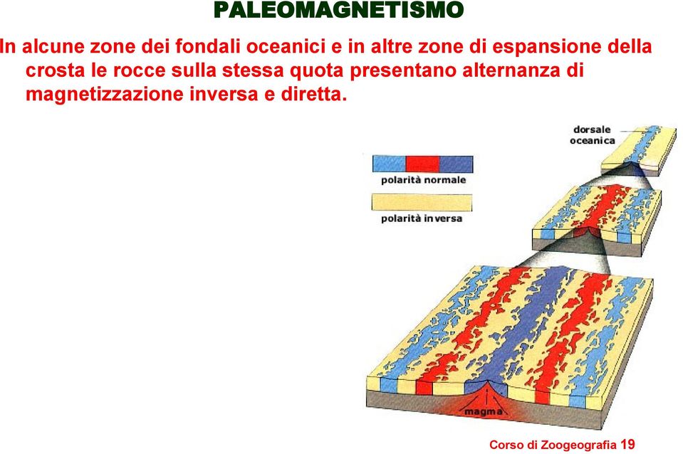 sulla stessa quota presentano alternanza di