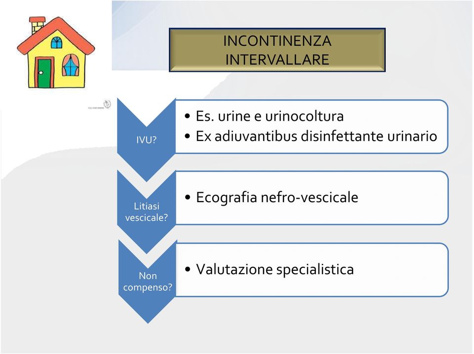 disinfettante urinario Litiasi vescicale?