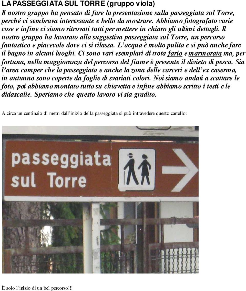 Il nostro gruppo ha lavorato alla suggestiva passeggiata sul Torre, un percorso fantastico e piacevole dove ci si rilassa. L acqua è molto pulita e si può anche fare il bagno in alcuni luoghi.