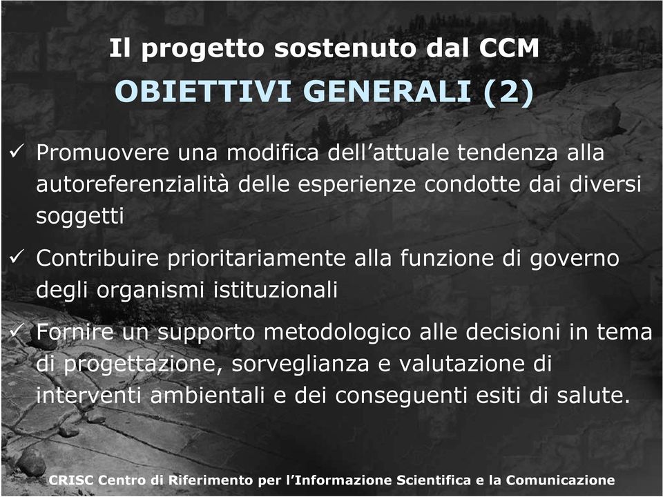 funzione di governo degli organismi istituzionali Fornire un supporto metodologico alle decisioni in