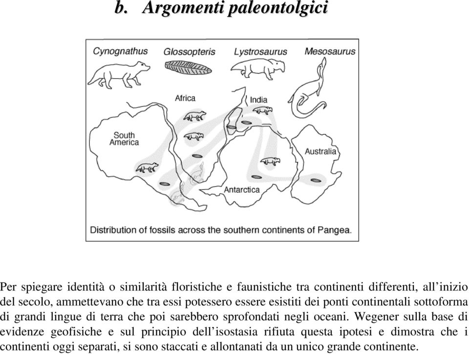 terra che poi sarebbero sprofondati negli oceani.