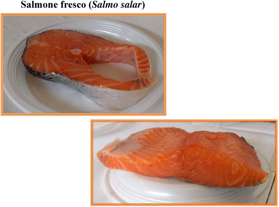 (Salmo