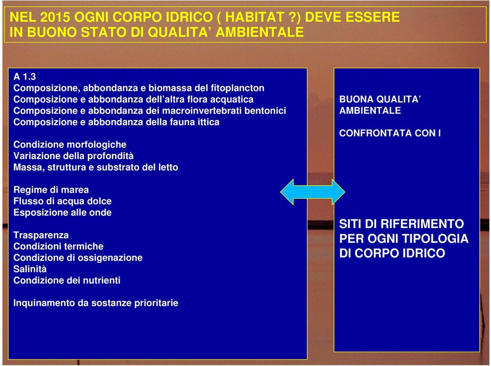 Composizione e abbondanza della fauna ittica Condizione morfologiche Variazione della profondità Massa, struttura e substrato del letto Regime di marea Flusso di acqua