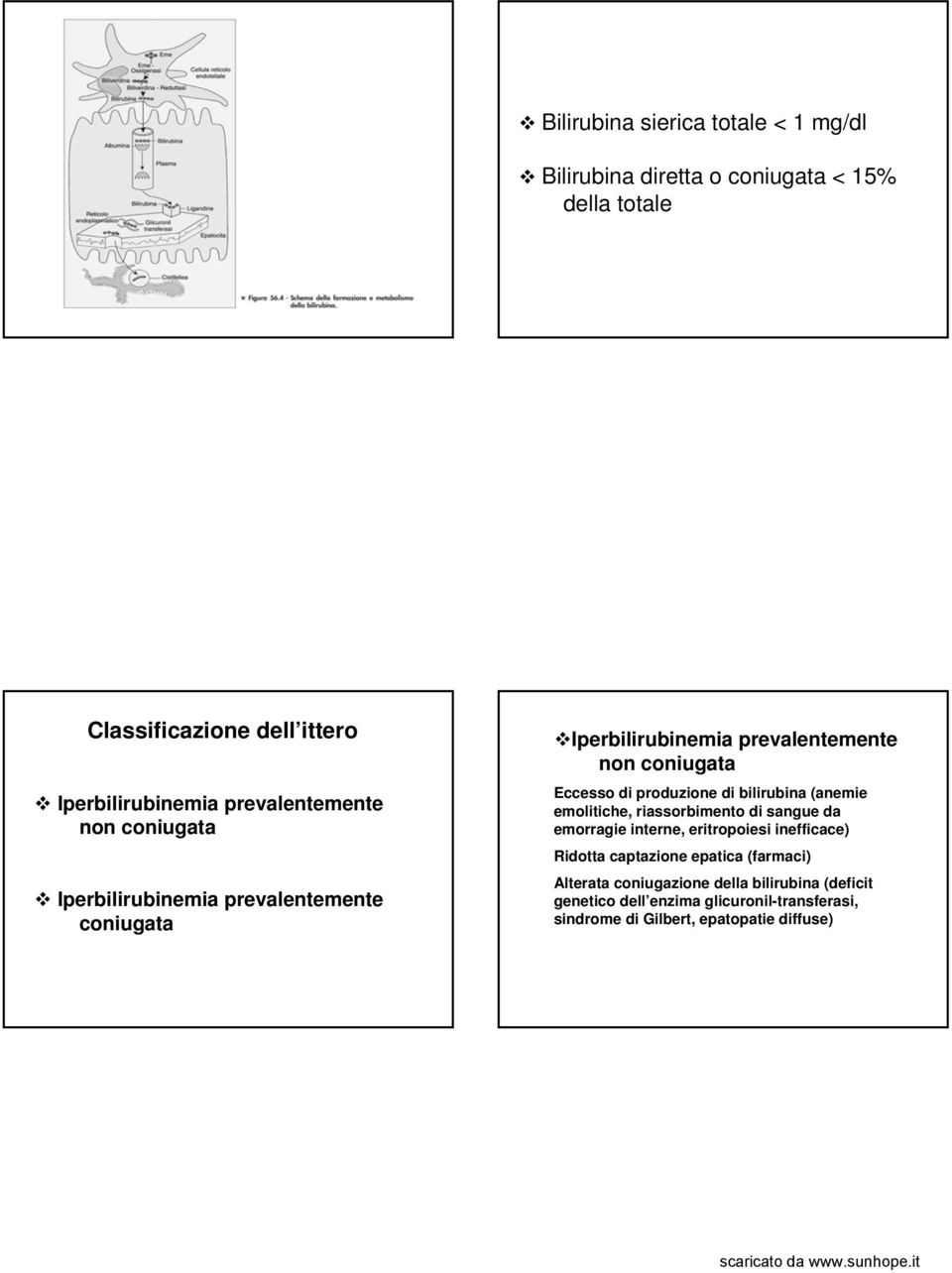 produzione di bilirubina (anemie emolitiche, riassorbimento di sangue da emorragie interne, eritropoiesi inefficace) Ridotta captazione