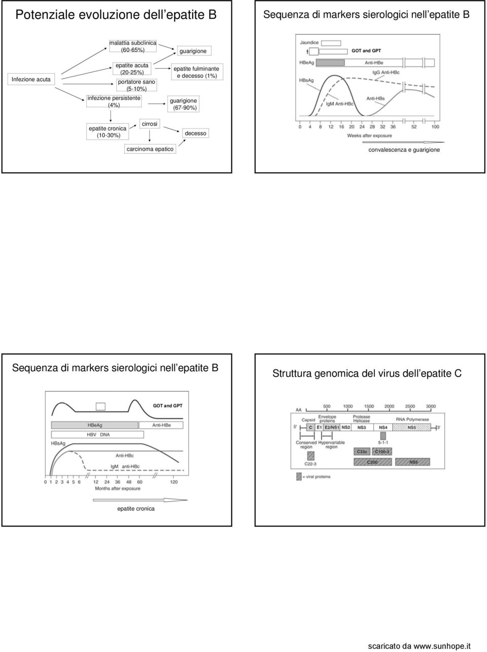 fulminante e decesso (1%) guarigione (67-90%) epatite cronica (10-30%) cirrosi decesso carcinoma epatico convalescenza e