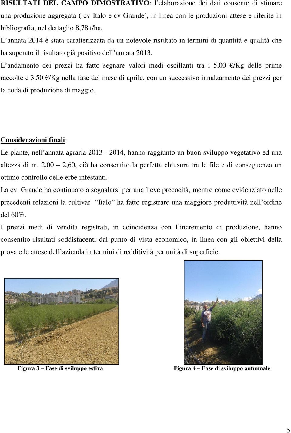 L andamento dei prezzi ha fatto segnare valori medi oscillanti tra i 5,00 /Kg delle prime raccolte e 3,50 /Kg nella fase del mese di aprile, con un successivo innalzamento dei prezzi per la coda di