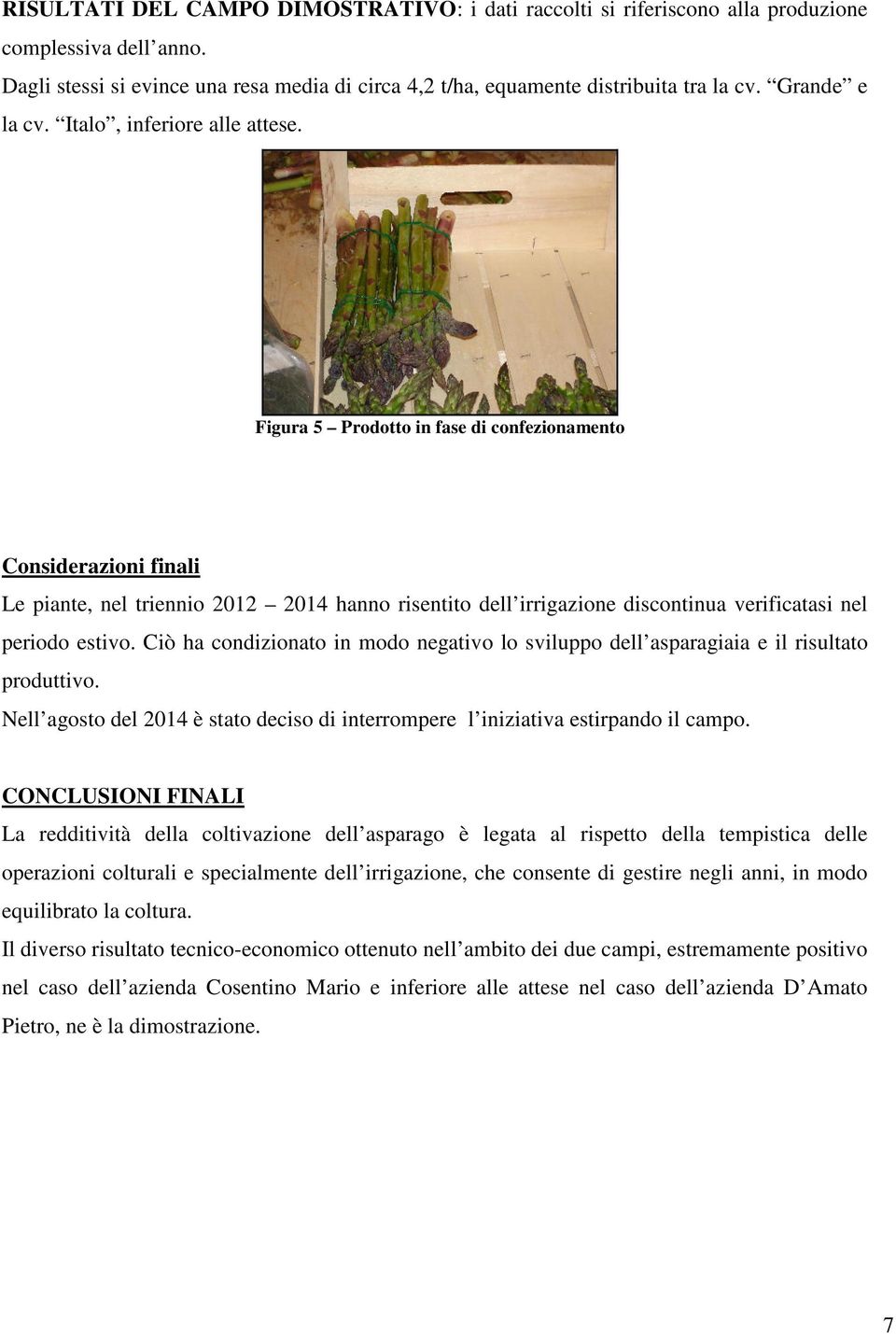 Figura 5 Prodotto in fase di confezionamento Considerazioni finali Le piante, nel triennio 2012 2014 hanno risentito dell irrigazione discontinua verificatasi nel periodo estivo.