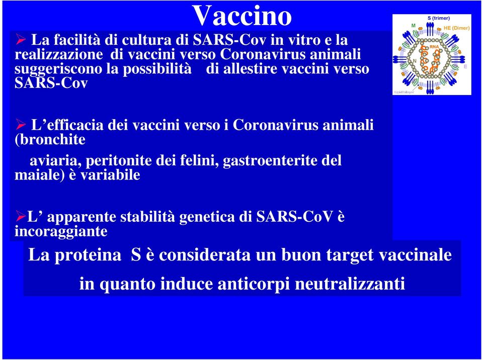 animali (bronchite aviaria, peritonite dei felini, gastroenterite del maiale) è variabile L apparente stabilità