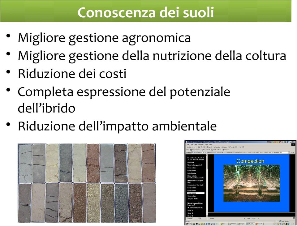 Riduzione dei costi Completa espressione del